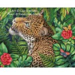 (image for) Leopard’s Gaze